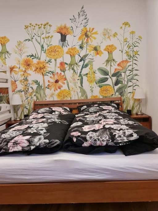 Historischer Gutshof, Bogensportzentrum Kremstal Apartment *