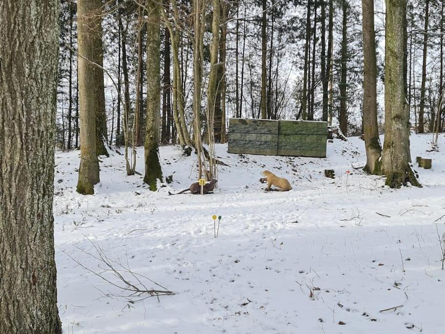 Historischer Gutshof, Bogensportzentrum Kremstal *